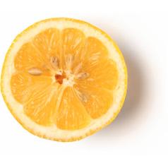 Сицилийское масло лимона (Citrus limonum)