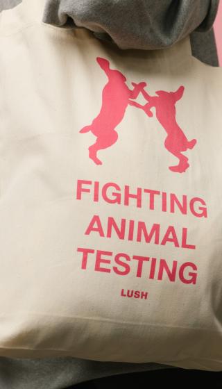 Боремся против тестов на животных