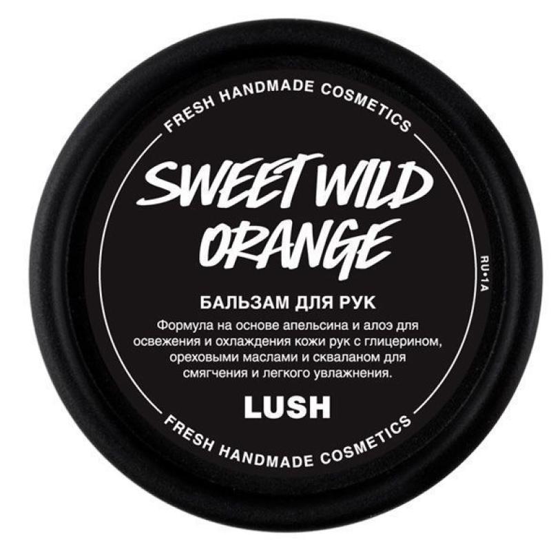 Sweet Wild Orange